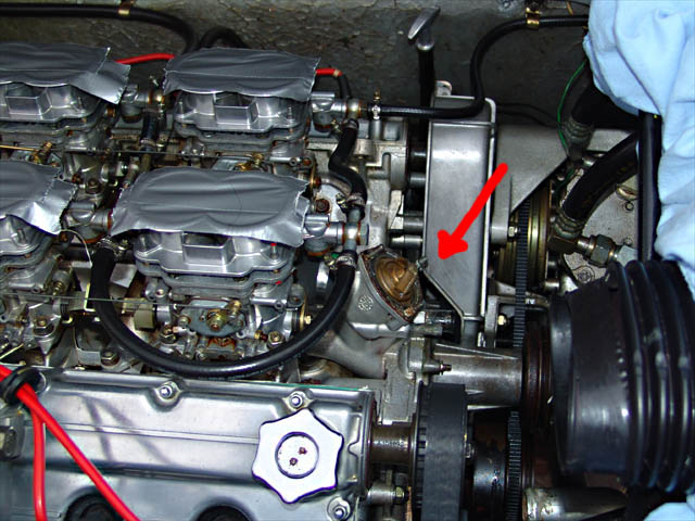 WP removal 012_sm.jpg